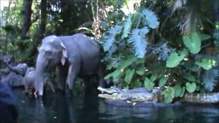 Jungle Cruise  Disneyland  Anaheim California  Complete Ride [upl. by Adaurd993]