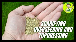 Scarifying seeding and topdressing this lawn [upl. by Ardnahc]