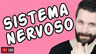 SISTEMA NERVOSO  FISIOLOGIA  Aula  Biologia com Samuel Cunha [upl. by Berck577]