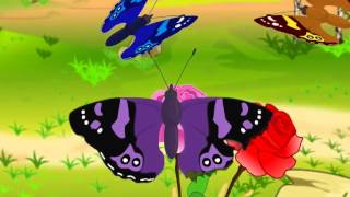 Maths  Symmetry in nature  Animation  English [upl. by Brockie]