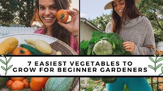 7 Easiest To Grow Vegetables For Beginners  Gardening 101 [upl. by Ijies]