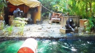 Disneyland Jungle Cruise On Ride HD POV Full Boat Tour Disneyland California [upl. by Swec]