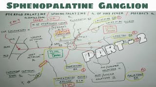 Sphenopalatine or Pterygopalatine Ganglion  2  Parasympathetic Ganglion  TCML [upl. by Eerdua]