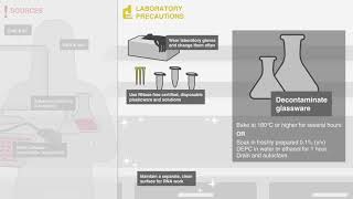 Avoiding RNase Contamination video [upl. by Aiz144]