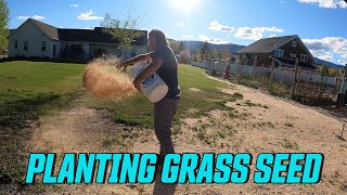 HOW TO PLANT GRASS IN DEAD SPOTS OVERSEED YOUR LAWN [upl. by Asselim]