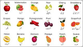 Fruits Name In English And Urdu  پھلوں کے نام  Phalon Ke Naam [upl. by Elleoj321]