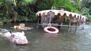 Jungle Cruise Full POV Ride with Latest Changes 71121 at Magic Kingdom Walt Disney World [upl. by Amees]