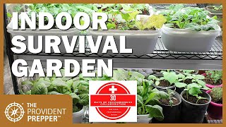 How to Grow an Indoor Survival Garden [upl. by Artenahs]