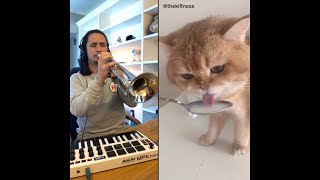 The Kiffness X NumNum Cat Live Looping Balkan Remix [upl. by Aisyle]