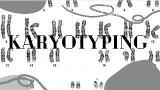 Karyotyping [upl. by Eecyac]