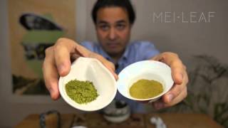 Everything you need to know about Matcha [upl. by Mcwilliams]